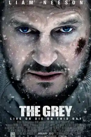 The Grey постер