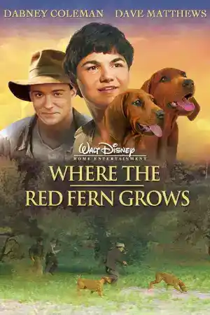 Where the Red Fern Grows постер