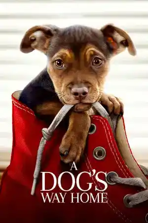 A Dog's Way Home постер
