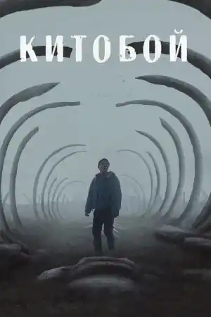 Kitoboy постер