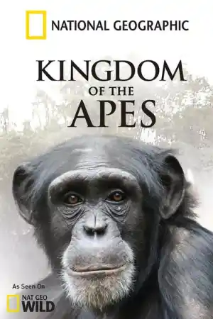 Kingdom of the Apes - Clash of Kings постер
