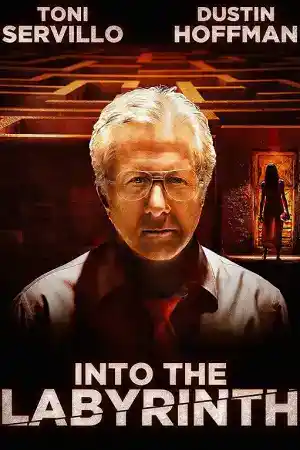Into the Labyrinth постер