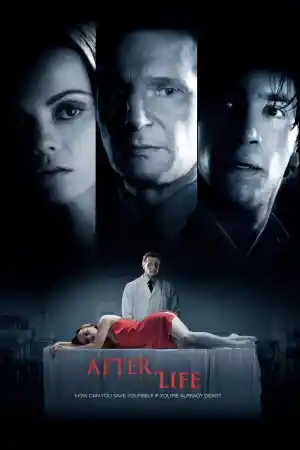 After Life постер