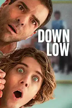 Down Low постер