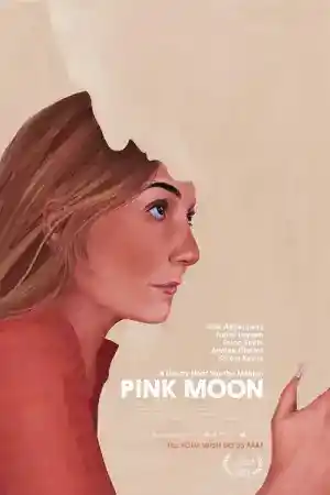 Pink Moon постер