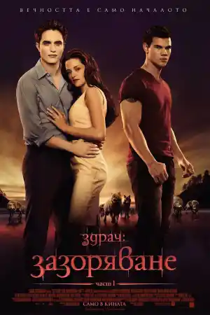 The Twilight Saga: Breaking Dawn - Part 1 постер