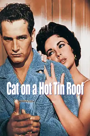 Cat on a Hot Tin Roof постер