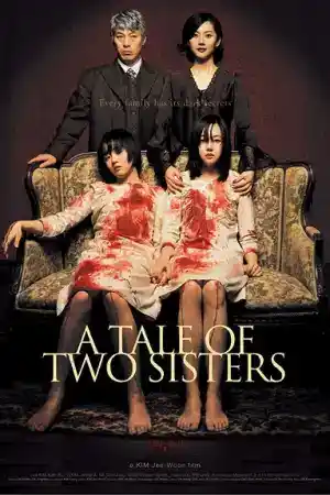 A Tale Of Two Sisters постер