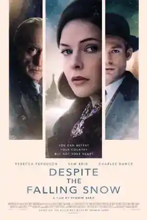 Despite the Falling Snow постер