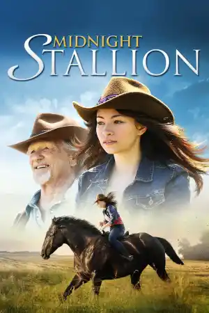 Midnight Stallion постер