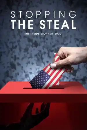 Stopping The Steal постер