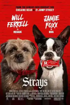 Strays постер