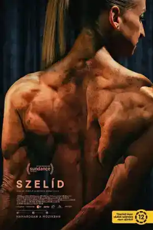 Gentle / Szelid постер