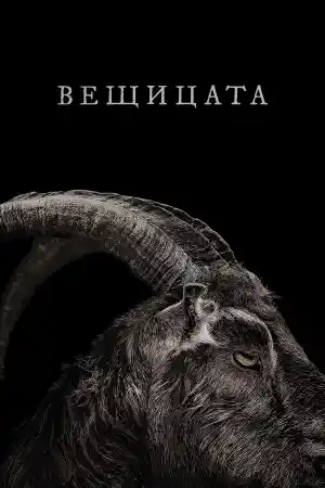 The Witch постер
