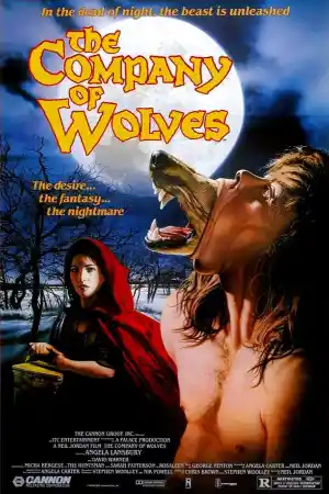 The Company of Wolves постер