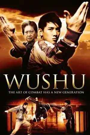 Wushu постер