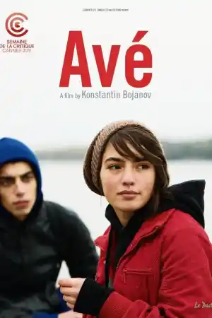 Ave постер