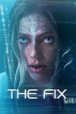 The Fix постер