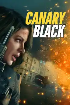 Черното канарче - Екшън филми онлайн - 2024