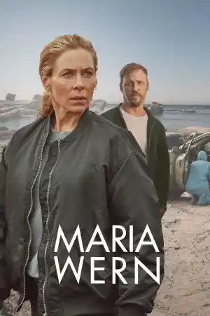 Maria Wern: Pojke forsvunnen / Boy Missing постер