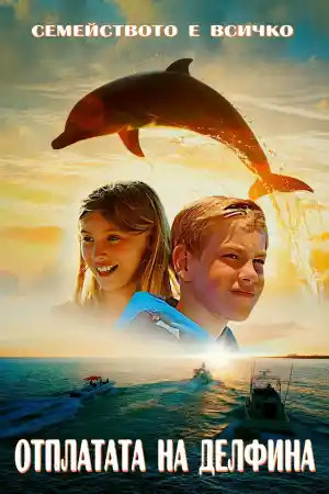 Dolphin Kick постер