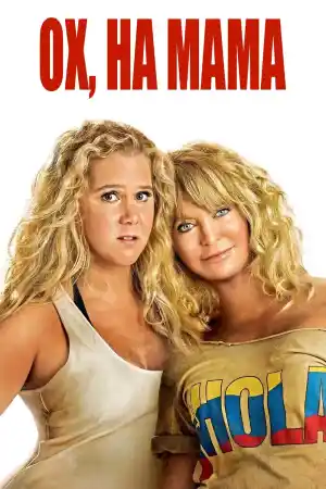 Snatched постер