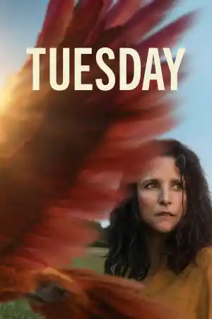 Tuesday постер