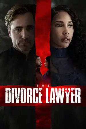 The Divorce Lawyer постер