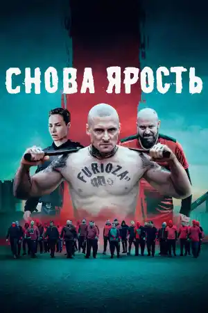 Inside Furioza постер