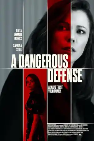 A Dangerous Defense постер