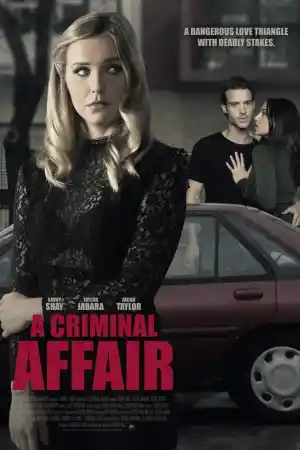 A Criminal Affair постер